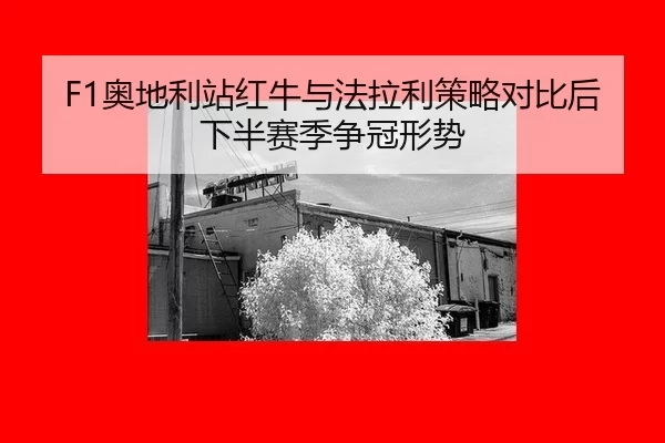 ao-di-li-zhan-hong-niu-yu-fa-la-li-ce-lve-dui-bi-hou-xia-ban-sai-ji-zheng-guan-xing-shi-3-681.jpg