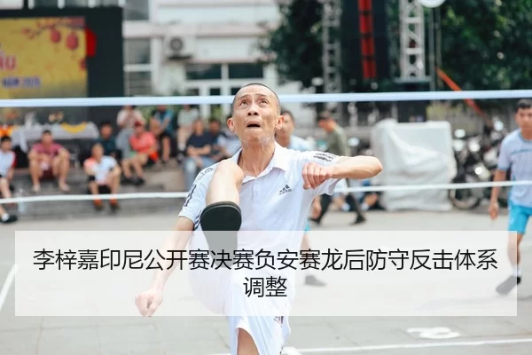 li-zi-jia-yin-ni-gong-kai-sai-jue-sai-fu-an-sai-long-hou-fang-shou-fan-ji-ti-xi-tiao-zheng-1-337.jpg